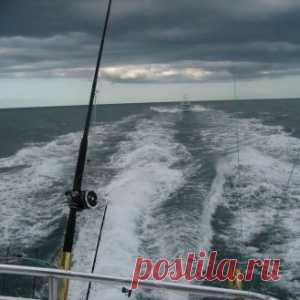 Техника ловли на самолов  (море)