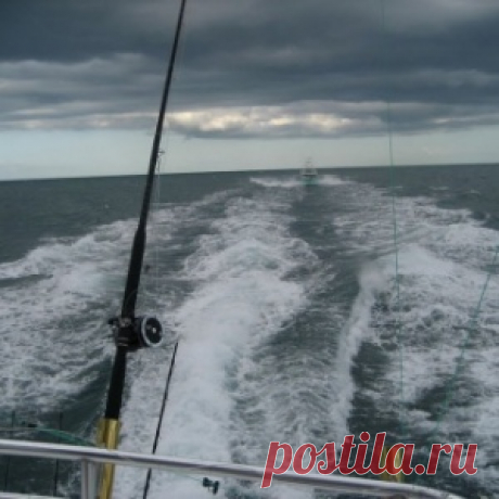 Техника ловли на самолов (море)