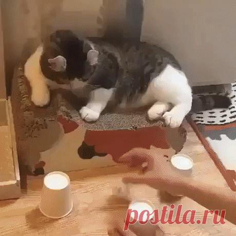 (61) Одноклассники