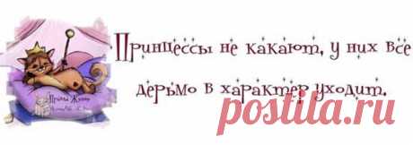 Прикольные высказывания в картинках