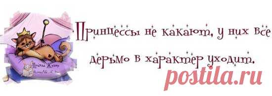 Прикольные высказывания в картинках