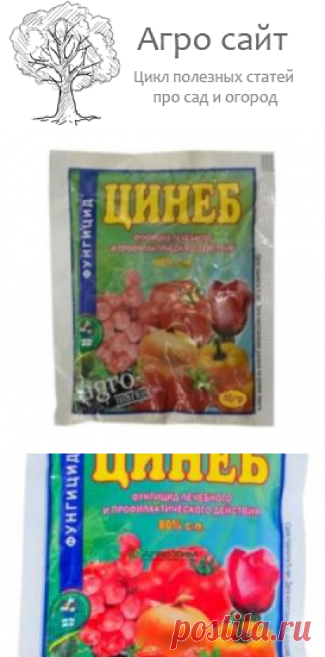Цинеб фунгицид от грибковых болезней растений