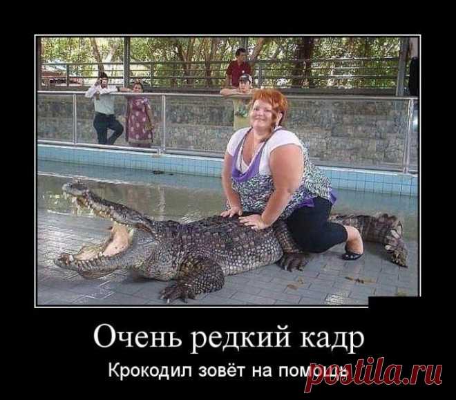 Веселая подборка демотиваторов, которые поднимут вам настроение! | KaifZona.Ru