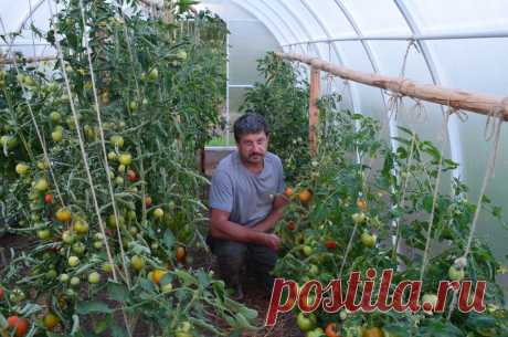 (1) Одноклассники