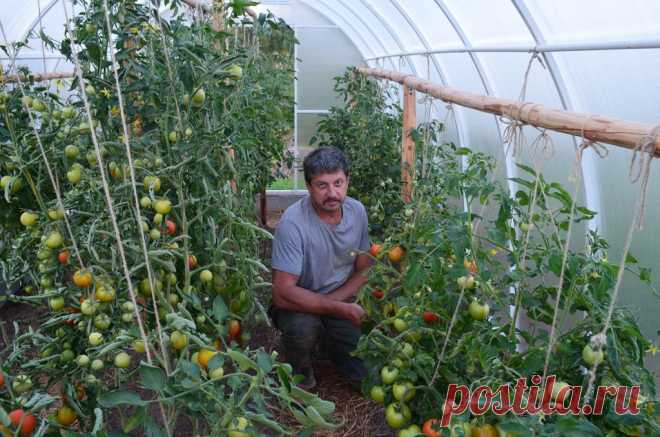 (1) Одноклассники