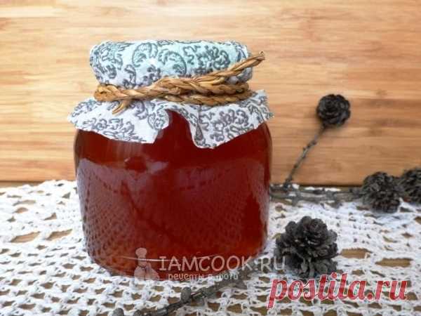 Сосновый мёд, рецепт с фото. Как приготовить мёд из сосновых побегов?
