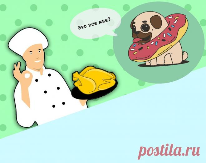 «КомплИмент» от повара или «комплЕмент»? Оказывается, оба слова — ошибка! | Беречь речь | Яндекс Дзен