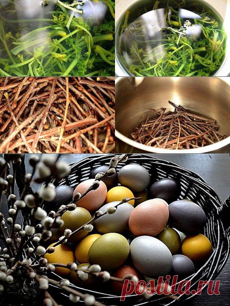 Натуральные красители для пасхальных яиц.