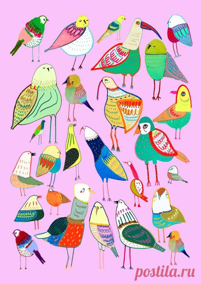 bird illustration, artwork, illustrator, for hire, license, art print, bird pattern, illustration art, drawing, nature art, animal illustration, - Ashley Percival Illustration