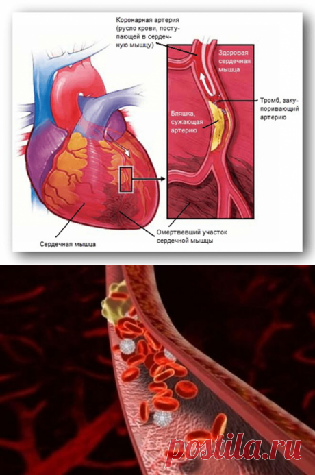 Наше здоровье Будьте здоровы вместе с нами