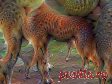 (1) Conscious Standpoint