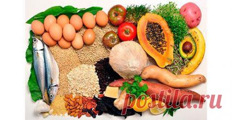 Линия здоровья - Основы здорового питания