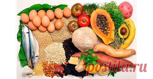 Линия здоровья - Основы здорового питания