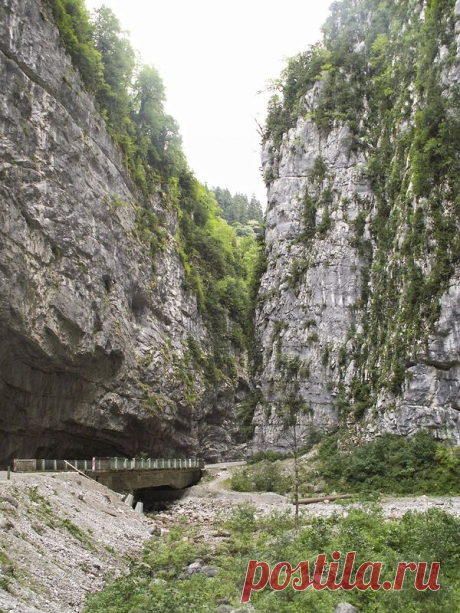 0_89080_4c1e29c_XL (600×800)