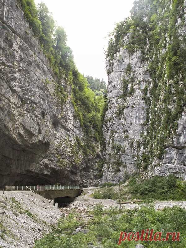 0_89080_4c1e29c_XL (600×800)