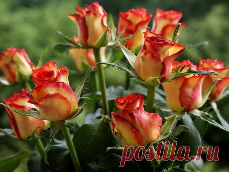 Мой Мир@Mail.Ru
