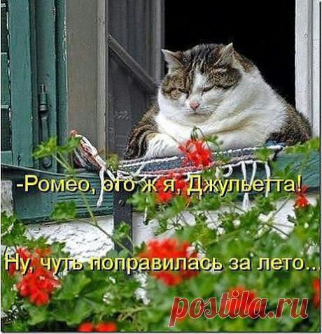 ((((Положительное Настроение))))
Петр Рубашкин