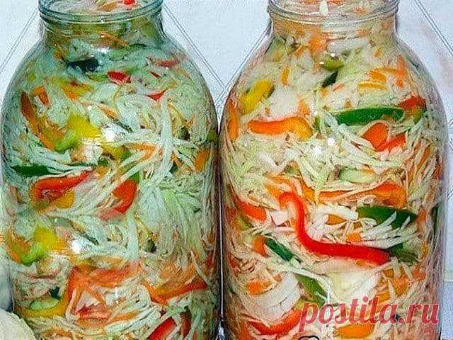 Маринованная капуста: на зиму – лучший рецепт - На Кухне