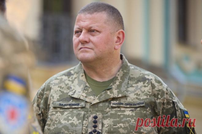 Business Insider: США запретили Залужному наступать на Крым в 2022 году. Главком ВСУ готовил план наступления в районе Азовского моря.