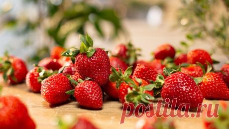 Лето в банке - кулинарная статья