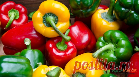 З инновационных приема выращивания перца - полезные статьи о садоводстве от Agro-Market