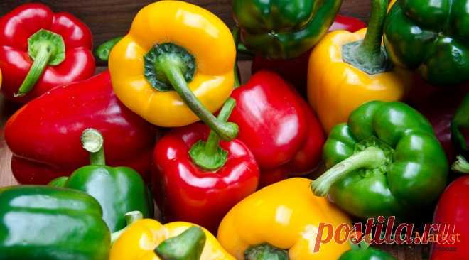 З инновационных приема выращивания перца - полезные статьи о садоводстве от Agro-Market