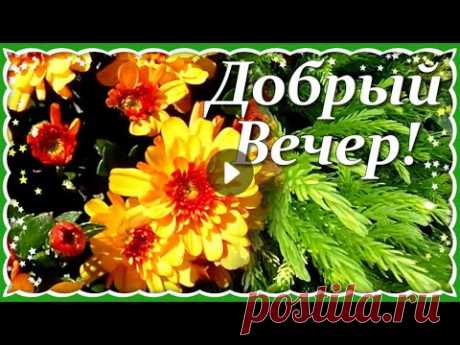 Добрый Вечер Хорошего Настроения! Пожелания Доброго Вечера! Красивое Пожелание с Добрым Вечером!
