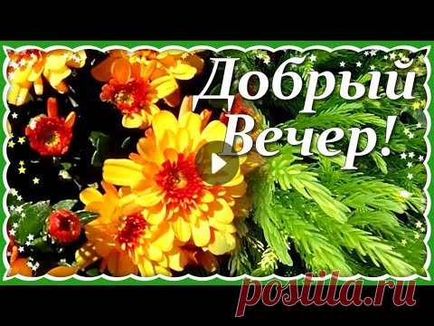 Добрый Вечер Хорошего Настроения! Пожелания Доброго Вечера! Красивое Пожелание с Добрым Вечером!