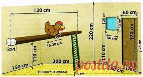 Курятник на 10-20 кур: размеры, чертежи, материалы, утепление, вентиляция, отопление