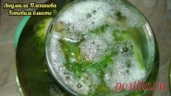 На зиму квашу огурцы только этим быстрым , холодным способом. Огурцы выходят хрустящие, рассол не мутнеет, а делать - залил водой и готово | Людмила Плеханова Готовим вместе. Еда | Яндекс Дзен