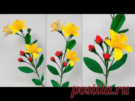 Paper Flower St. Johns Wort \ Hypercium (flower # 178)