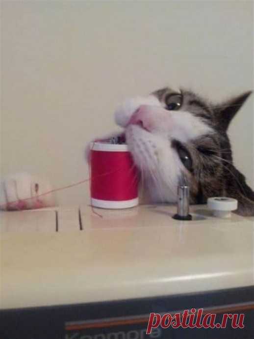 Ты неправильно это делаешь, дай сюда я тебе покажу!