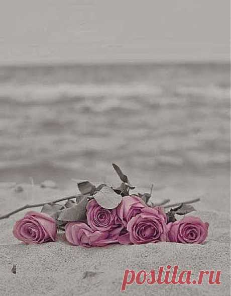 אהובה וקנין – Google+ - Lord, I need You, oh, I need You Every hour I need You My…