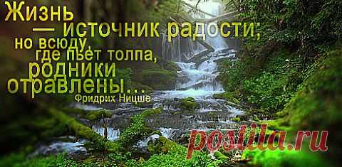 "МУДРЫЙ" ВЫБОР (притча) | Приветствуем ВАС на сайте ГАЛАКТИКА