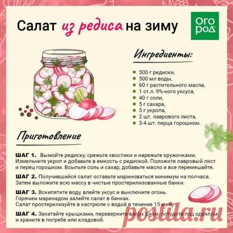 Салат из редиса на зиму