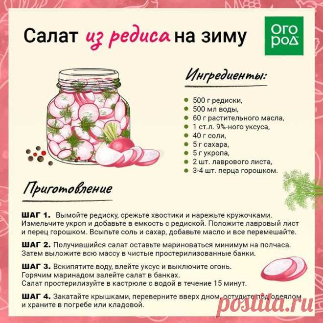 Салат из редиса на зиму