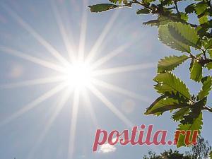 Основы работы с ручными настройками в вашем фотоаппарате при съёмке изделий - Ярмарка Мастеров - ручная работа, handmade