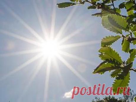 Основы работы с ручными настройками в вашем фотоаппарате при съёмке изделий - Ярмарка Мастеров - ручная работа, handmade