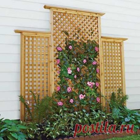 19 Beautiful Backyard Building Projects