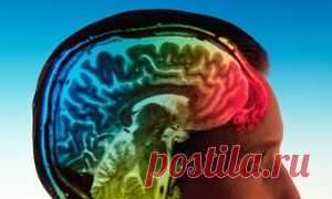 Serotonin map of brain could lead to better targeted antidepressants | Science | The Guardian