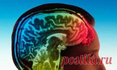 Serotonin map of brain could lead to better targeted antidepressants | Science | The Guardian