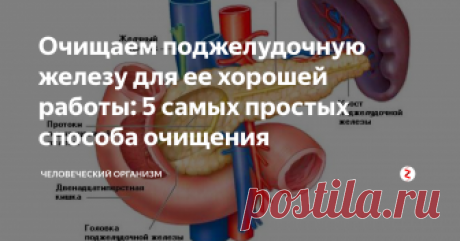Очищаем поджелудочную железу для ее хорошей работы: 5 самых простых способа очищения  Всем безоговорочно известно, какое важное место занимает поджелудочная железа в нашем организме. При нарушении которой постепенно вырабатывается сахарный диабет.  Для того, чтобы не мучить себя противостоянием этому недугу, который может оказать колоссальное влияние на повседневную жизнь, в особенности, на режим питания, стоит оберегать эту немаловажную часть себя.