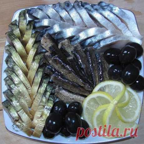 Дневник Мила_Оли