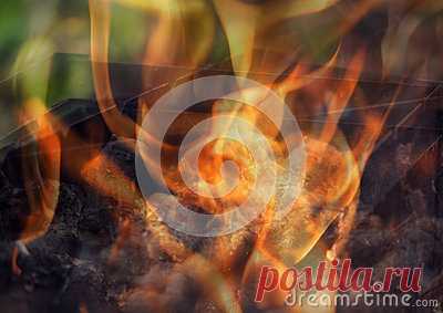 Stock Photos, Royalty-Free Images & Video Footage By Dreamstime Stock Photography