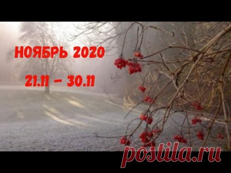 Таро Прогноз на ноябрь 2020  (период 21-30 ноября  2020 года) Астрологический Оракул Симболон