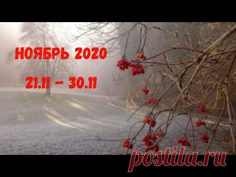 Таро Прогноз на ноябрь 2020  (период 21-30 ноября  2020 года) Астрологический Оракул Симболон