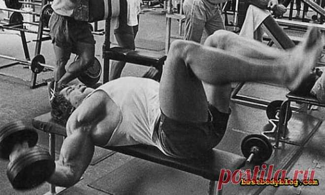 Грудь Арнольда. Рецепт создания | bestbodyblog.com
