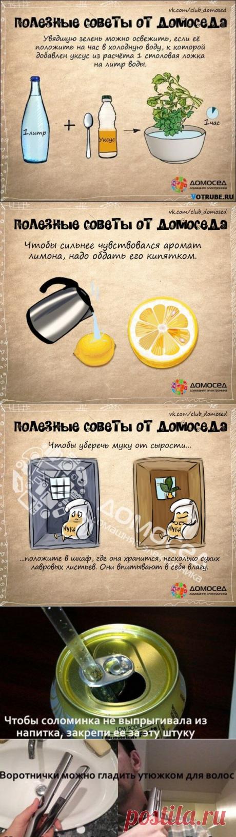 Советы от домоседа и не только. Просто и полезно!