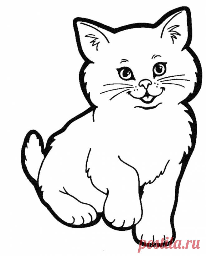Рисунок раскраска котёнок