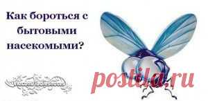 Как бороться с бытовыми насекомыми?